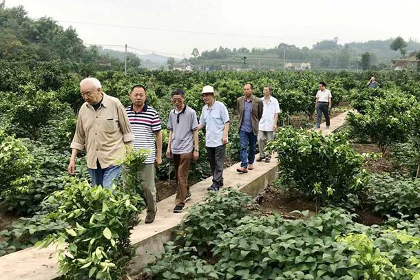 不忘初心送瘟神 共筑健康中国梦